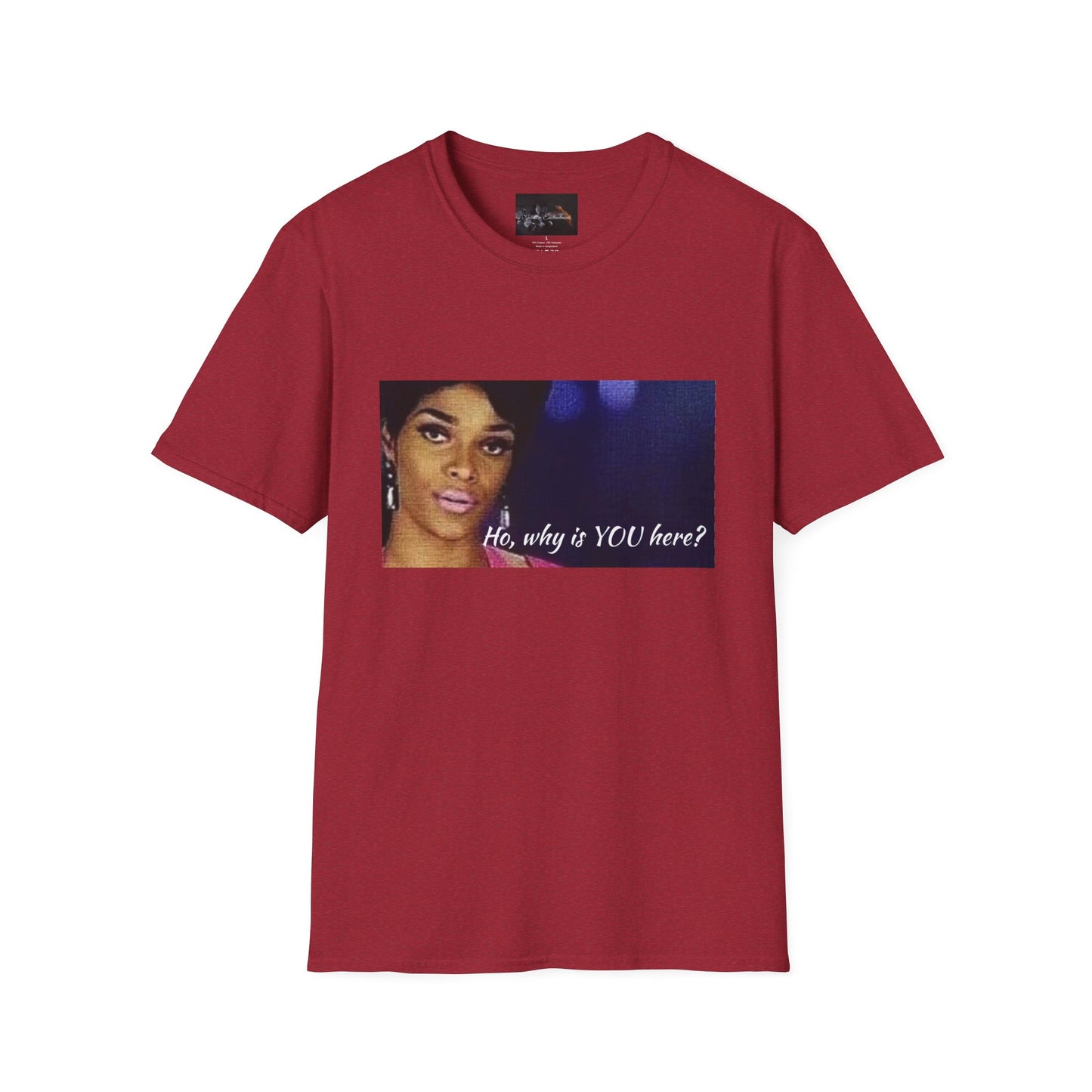 Funny Graphic Tee: "Ho, why is YOU here?" T-Shirt, Trendy Casual Wear, Gift for Friends, LGBTQ Pride Apparel, Funny Statement Shirt