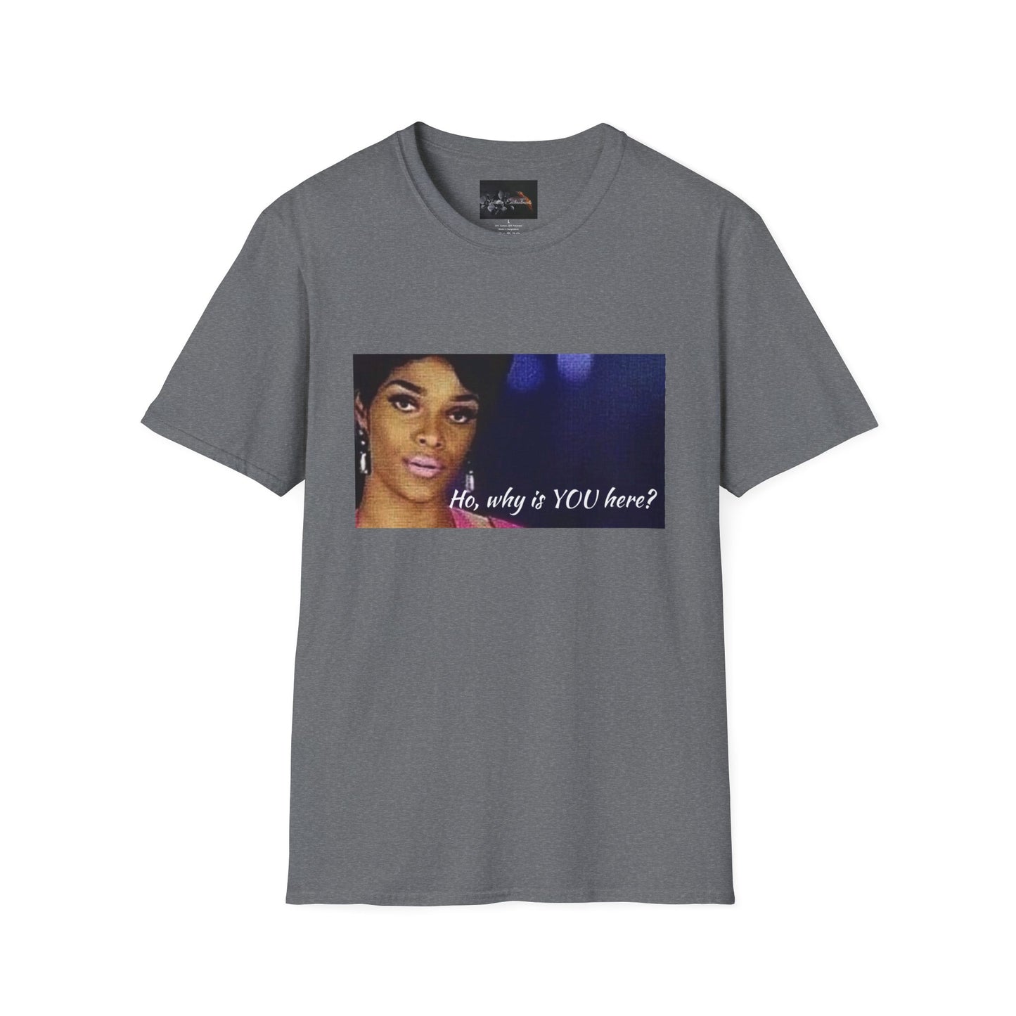 Funny Graphic Tee: "Ho, why is YOU here?" T-Shirt, Trendy Casual Wear, Gift for Friends, LGBTQ Pride Apparel, Funny Statement Shirt
