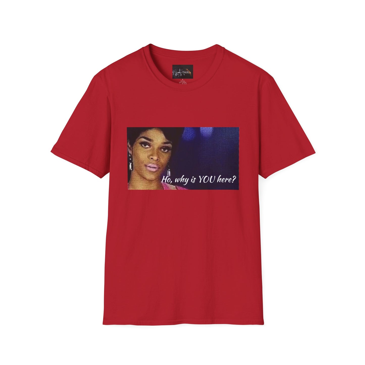 Funny Graphic Tee: "Ho, why is YOU here?" T-Shirt, Trendy Casual Wear, Gift for Friends, LGBTQ Pride Apparel, Funny Statement Shirt