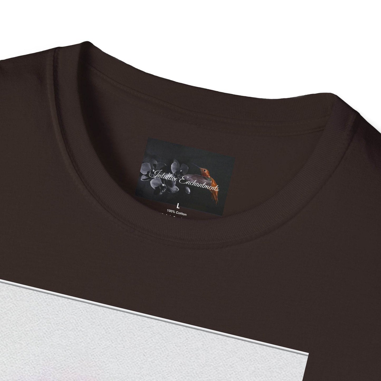Evil Queen T-Shirt, Softstyle Tee - IntuitiveEncBoutique