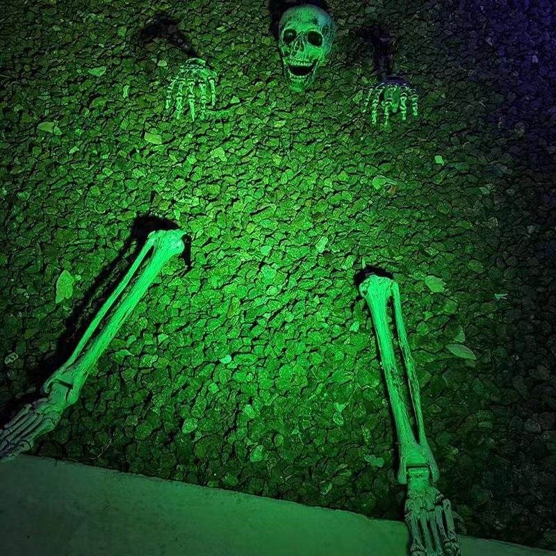 Halloween Skeleton Stakes: Realistic Skull, Head, Hands/Arms – For Party, Home, Garden, Lawn - IntuitiveEncBoutique