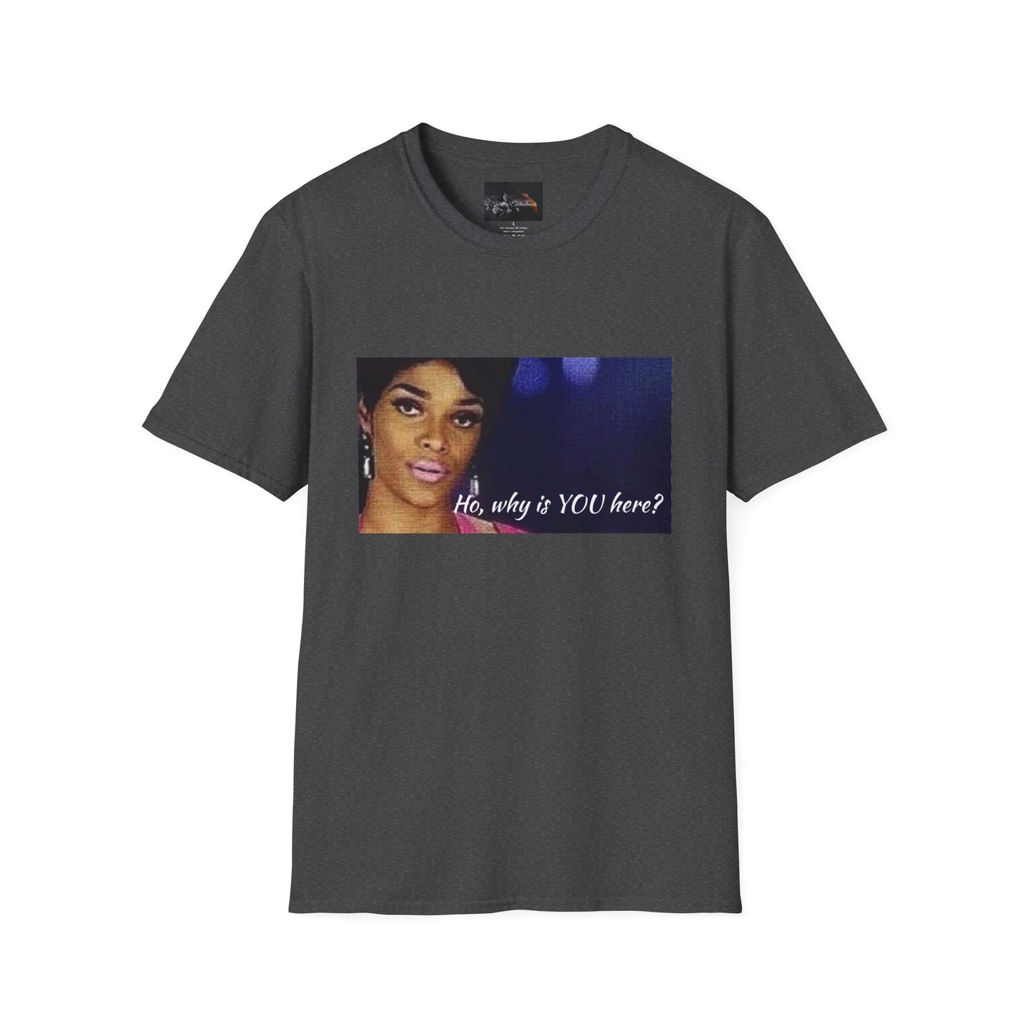 Funny Graphic Tee: "Ho, why is YOU here?" T-Shirt, Trendy Casual Wear, Gift for Friends, LGBTQ Pride Apparel, Funny Statement Shirt