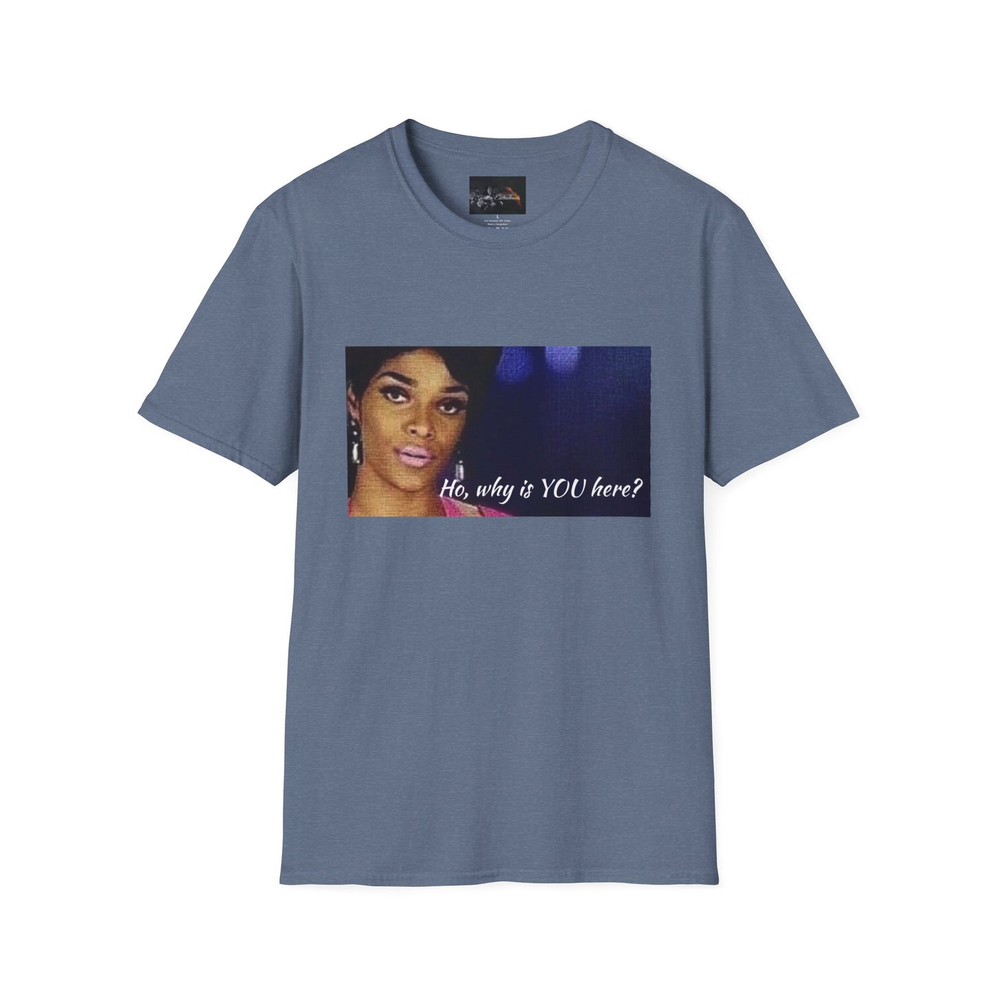 Funny Graphic Tee: "Ho, why is YOU here?" T-Shirt, Trendy Casual Wear, Gift for Friends, LGBTQ Pride Apparel, Funny Statement Shirt