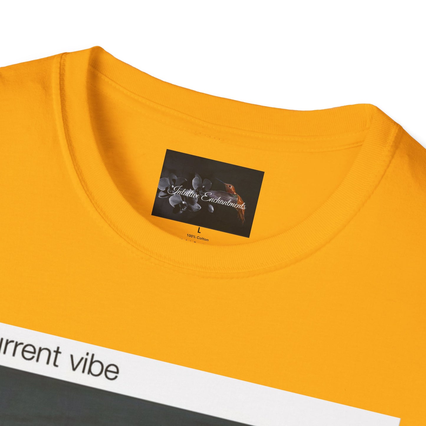 My Current Vibe T-Shirt, Funny Cat Shark Tee for Casual Outings, Unique Gift for Cat Lovers, Summer Style, Chill Vibes