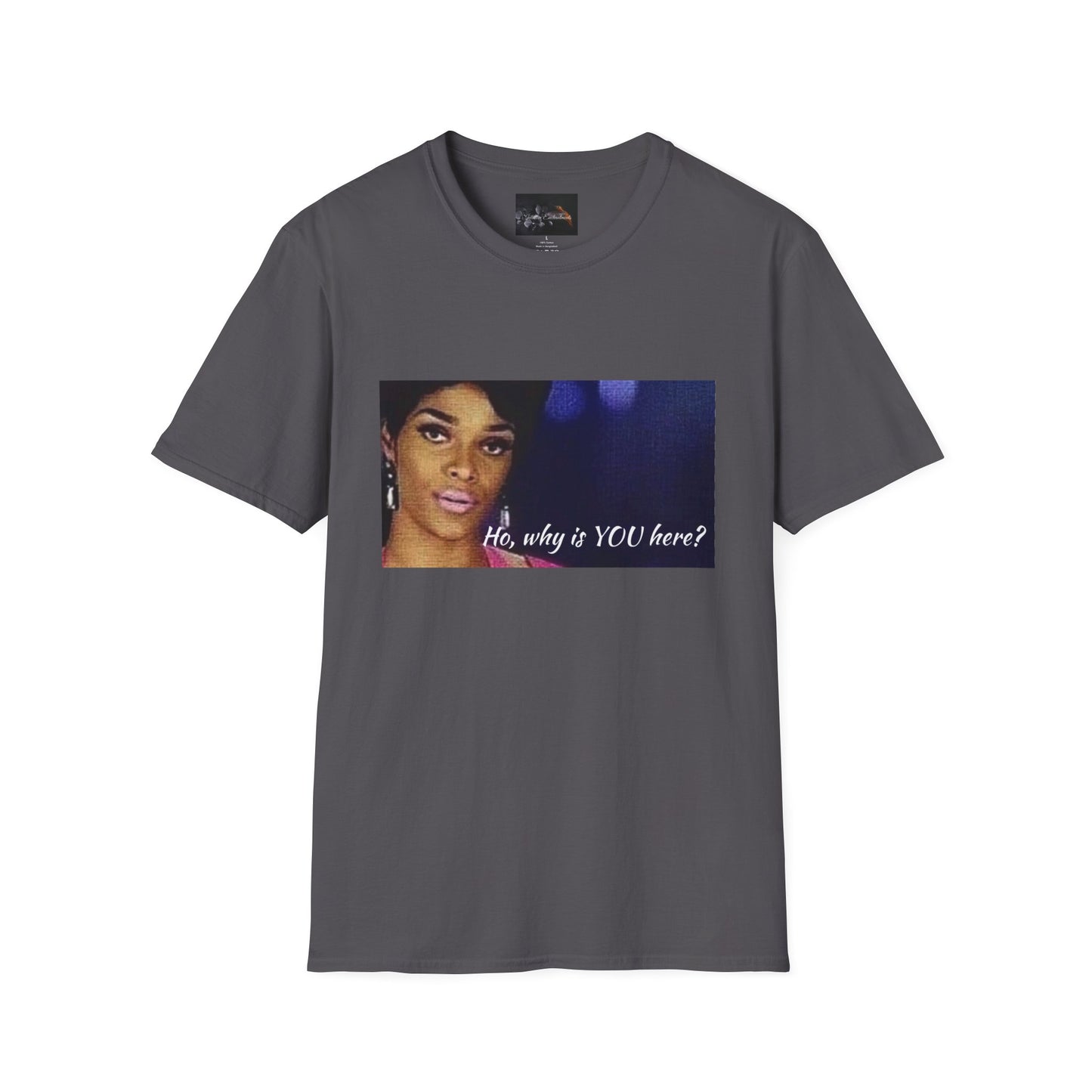 Funny Graphic Tee: "Ho, why is YOU here?" T-Shirt, Trendy Casual Wear, Gift for Friends, LGBTQ Pride Apparel, Funny Statement Shirt
