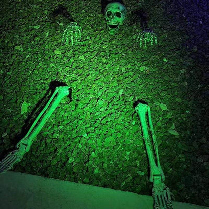 Halloween Skeleton Stakes: Realistic Skull, Head, Hands/Arms – For Party, Home, Garden, Lawn - IntuitiveEncBoutique