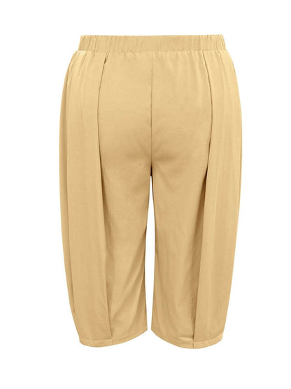 Plus Size Wide Leg Pleated Detail Cropped Pants - IntuitiveEncBoutique