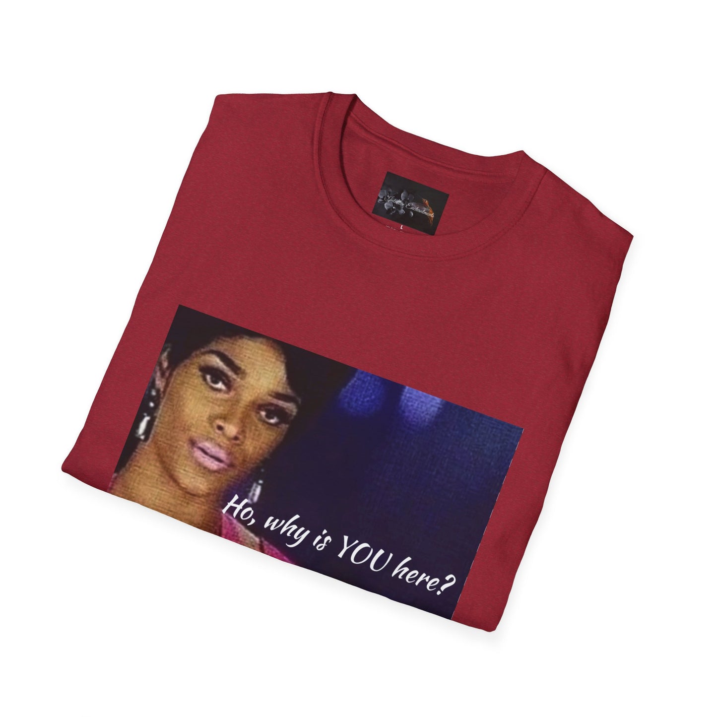 Funny Graphic Tee: "Ho, why is YOU here?" T-Shirt, Trendy Casual Wear, Gift for Friends, LGBTQ Pride Apparel, Funny Statement Shirt