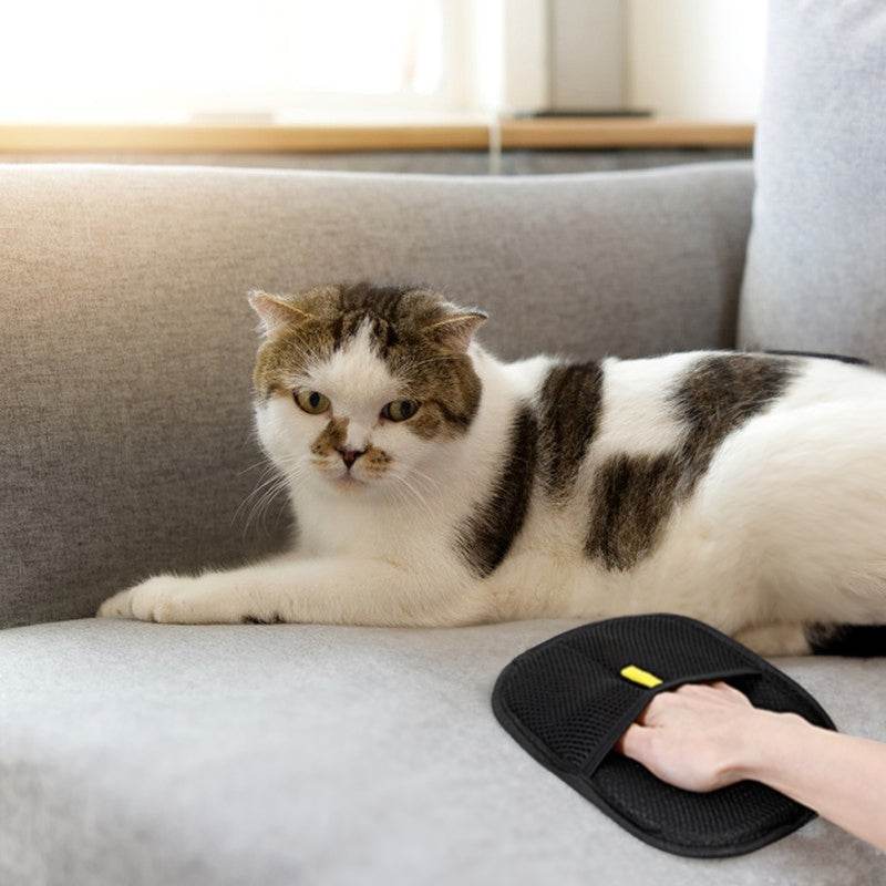 Static Pet Hair Removal Gloves - 3-in-1 Grooming, Deshedding & Multi-Surface Hair Remover for Dogs & Cats - IntuitiveEncBoutique