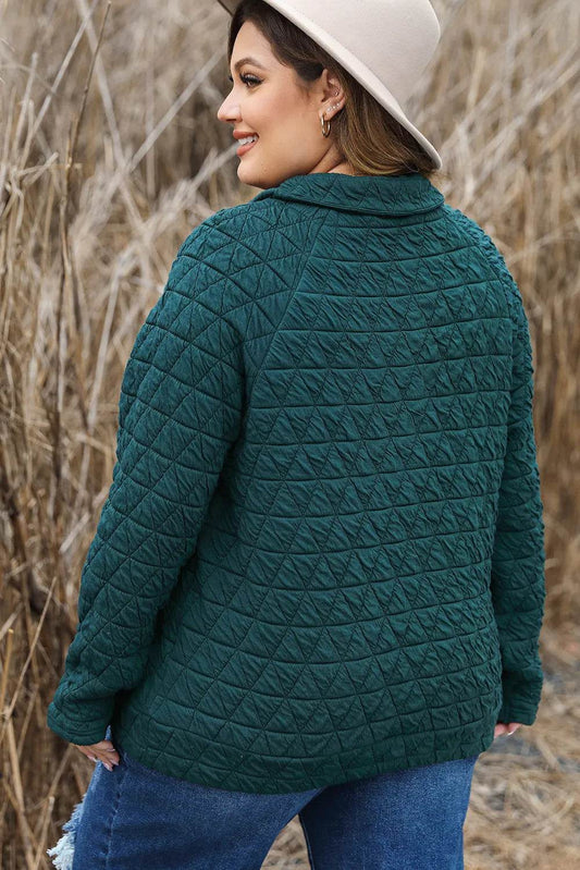 Plus Size Quarter Snap Quilted Sweatshirt - IntuitiveEncBoutique
